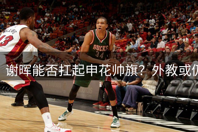谢晖能否扛起申花帅旗？外教或仍是俱乐部最稳妥选择
